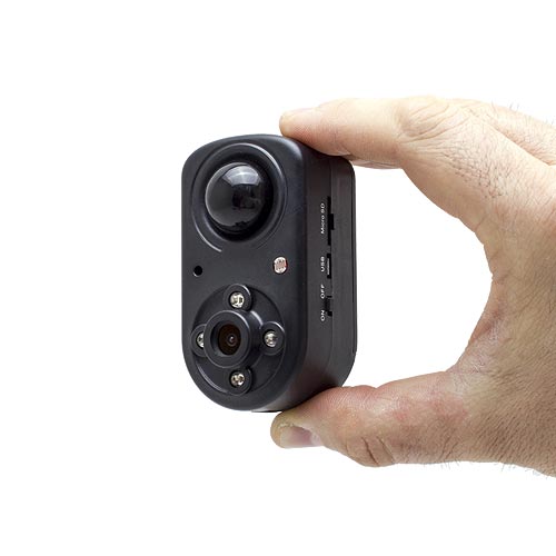 Ours en peluche caméra cachée ultra HD 4K longue autonomie avec détection  de mouvement